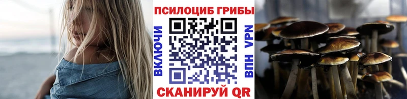 Галлюциногенные грибы мицелий  наркота  omg маркетплейс  Валдай 